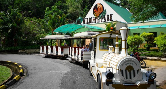 Lok kawi Wildlife Park