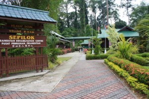 Sepilok Rehabilitation Center