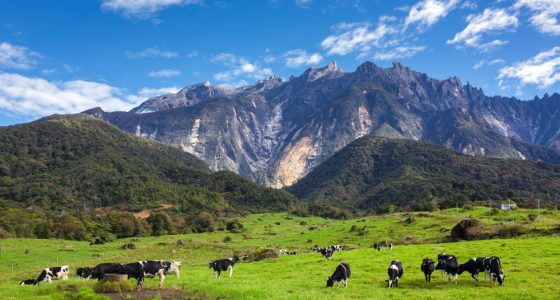 2d1n-tip-of-borneo-and-kinabalu-national-park-tour