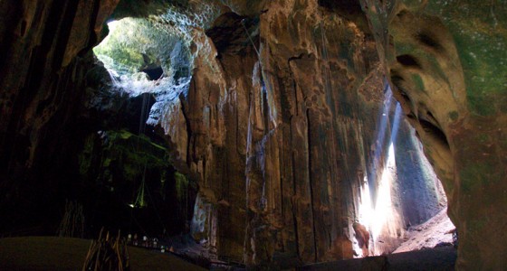 Gomantong Caves (哥曼东洞穴)