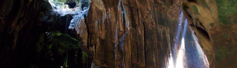 Gomantong Caves (哥曼东洞穴)