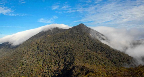 Mount Trus Madi 特鲁斯马迪山