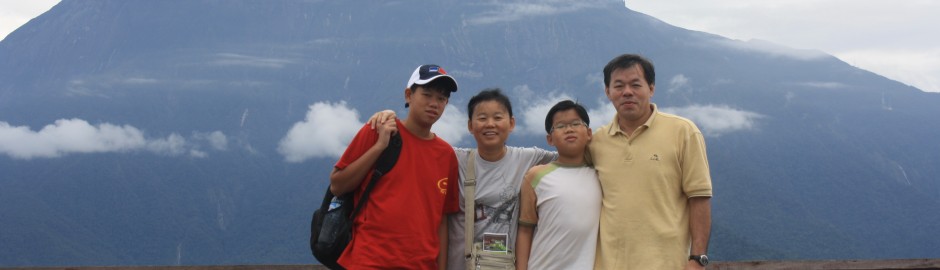 Kinabalu Mountain View